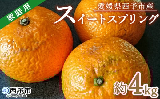 [愛媛県西予市産 スイートスプリング 家庭用 約4kg] 訳あり ワケアリ 果物 くだもの ミカン 蜜柑 柑橘 甘い おいしい フルーツ サイズ不揃い ご自宅用 果実 果肉 特産品 段畑みかん 愛媛県 西予市[常温]『2026年1月中旬〜2月上旬迄に順次出荷予定』