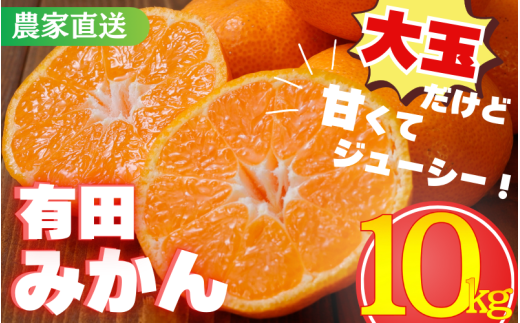 [農家直送]有田みかん 約10kg 大玉3L以上 有機質肥料100% ※2025年12月初旬〜1月中旬に順次発送(お届け日指定不可)※北海道・沖縄・離島への配送不可 / ミカン 蜜柑 柑橘 フルーツ くだもの 果物 早生 温州 有田 [nuk139E]
