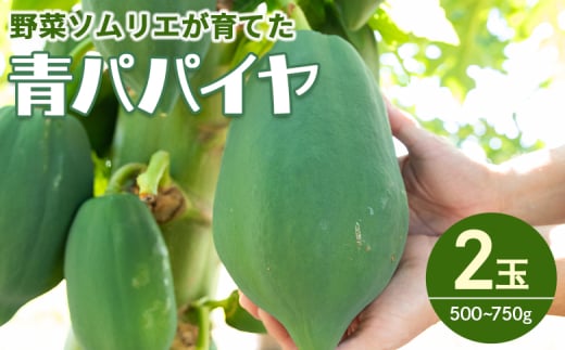 パパイヤ ２玉 青パパイヤ 野菜ソムリエが育てた mj-0017 1906952 - 高知県香南市