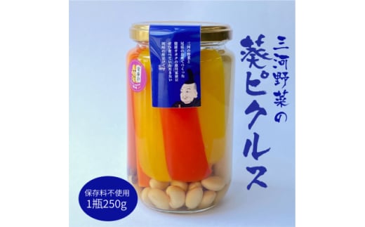 三河野菜の葵ピクルス「あいちの家康酢漬」250g【1575504】