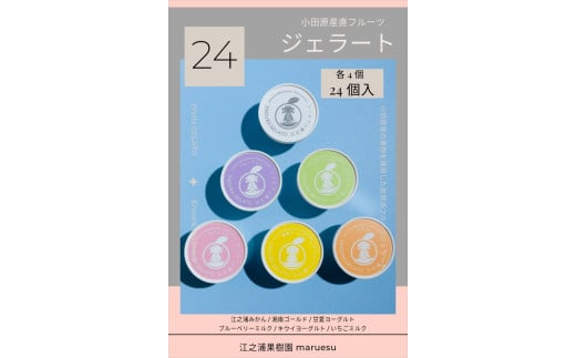 小田原産江之浦ジェラート６種（みかん、湘南ゴールド、ブルーベリーミルク、いちごミルク、キウイヨーグルト、甘夏ヨーグルト）120mlカップ各４個合計２４個 2000177 - 神奈川県小田原市