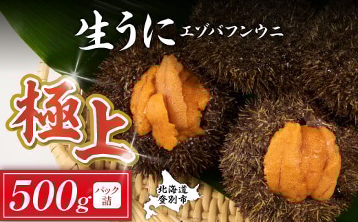 極上 エゾバフンウニ 500g（パック詰）高級 うに ウニ 雲丹 生うに バフンウニ 塩水 パック詰め ふるさと納税 北海道 登別市