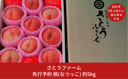 先行予約 桃 (なつっこ) 5kg [8月上旬から発送予定] 令和7年度 新潟県産 桃 [さとうファーム] 【020S029】 878993 - 新潟県三条市