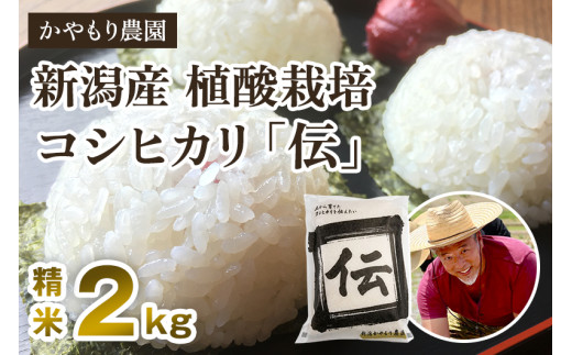 【令和6年産米】新潟産コシヒカリ「伝」白米真空パック 精米2kg 南麻布の高級料亭で提供される極上米 かやもり農園 1906934 - 新潟県加茂市