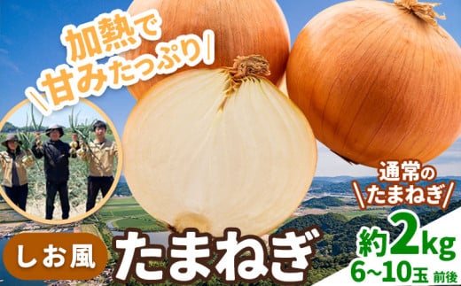 たまねぎ【2025年先行予約分】しお風たまねぎ 約2kg《2025年6月上旬-6月末頃出荷》 玉ねぎ たまねぎ 玉葱 野菜 青果物 岡山県 笠岡市 玉ねぎ 2kg 5000円以下 5000円以内 10000円以下 10000円以内