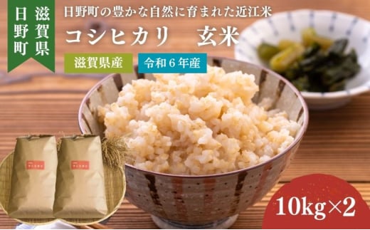 【令和6年産】 コシヒカリ 玄米20kg（10kg×2袋） 近江米