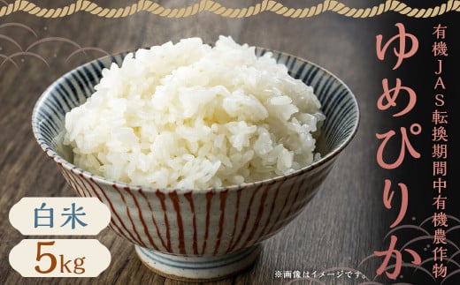 [令和6年産]有機JAS転換期間中有機農産物 らんこし産 ゆめぴりか 5kg お米 米 精米