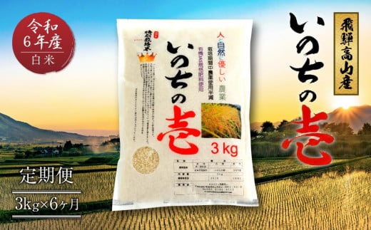 【定期便】令和6年産 飛騨高山産いのちの壱（白米）3kg×6ケ月 | 粒が大きい ブランド米 お米 ご飯 おいしい 人気 いのちの壱 飛騨高山 クオリティ飛騨高山 AU102 585213 - 岐阜県高山市