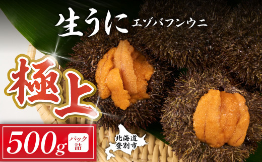 極上 エゾバフンウニ 500g（パック詰）　配送期間C：1月下旬～3月下旬迄 | うに 高級 ウニ 雲丹 生ウニ エゾバフンウニ パックうに 北海道 登別 人気 ランキング 送料無料