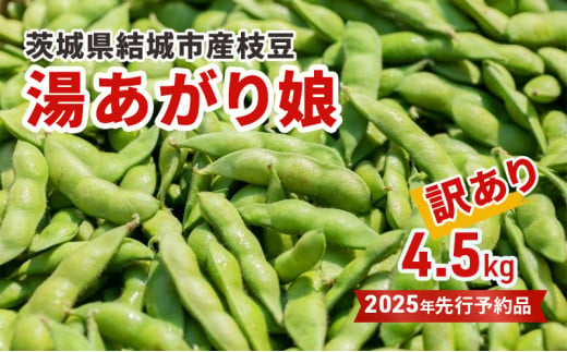 先行予約 訳あり 茨城県結城市産枝豆「湯あがり娘」4.5kg（茶豆味） [№5802-0963] 1172470 - 茨城県結城市