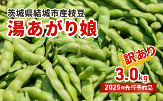 先行予約 訳あり 茨城県結城市産枝豆「湯あがり娘」3kg（茶豆味） [№5802-0962] 1172469 - 茨城県結城市