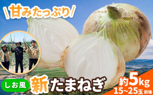 新玉ねぎ【2025年先行予約】 しお風新たまねぎ 約5kg 《5月中旬-5月末頃出荷》 玉ねぎ 新たまねぎ 玉葱 たまねぎ 新玉 野菜 青果物 岡山県 笠岡市 5000円以下 5000円以内 10000円以下 10000円以内