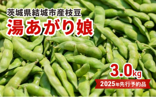 先行予約 茨城県結城市産枝豆「湯あがり娘」3kg（茶豆味） [№5802-0958] 1172465 - 茨城県結城市