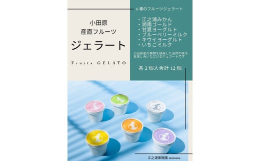 定期便（2カ月ごと全３回）小田原産江之浦ジェラート６種（みかん、湘南ゴールド、ブルーベリーミルク、いちごミルク、キウイヨーグルト、甘夏ヨーグルト）120mlカップ各２個合計１２個 2000188 - 神奈川県小田原市