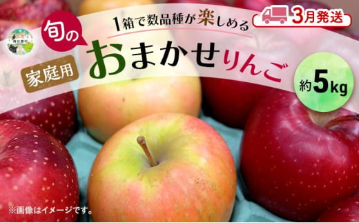 りんご 【3月発送】 家庭用 旬のりんご 品種おまかせ 約 5kg 2品種～4品種