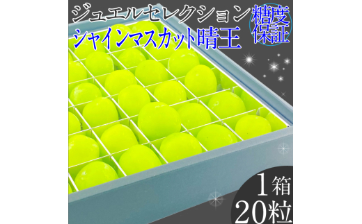 2025年 先行予約受付中 シャインマスカット晴王 ジュエルセレクション 1箱20粒 岡山県産 種無し 皮ごと食べる みずみずしい 甘い  瀬戸内  ハレノフルーツ [№5735-2168]