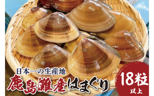 日本一の生産地　茨城県鹿島灘産はまぐり 18粒以上【ハマグリ 蛤 海鮮 魚貝 冷蔵 縁起物 酒蒸し お吸い物 鹿島灘 茨城県 鹿嶋市 35000円以内】（KM-16）