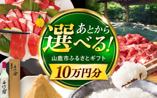 【あとから選べる】山鹿市ふるさとギフト　10万円分 米 牛肉　豚肉 馬刺し くまもと黒毛和牛 定期便 山鹿 [ZEC030]