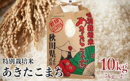 【令和6年産】特別栽培米　秋田県産あきたこまち　精米10kg（5kg×2袋） 668742 - 秋田県大仙市