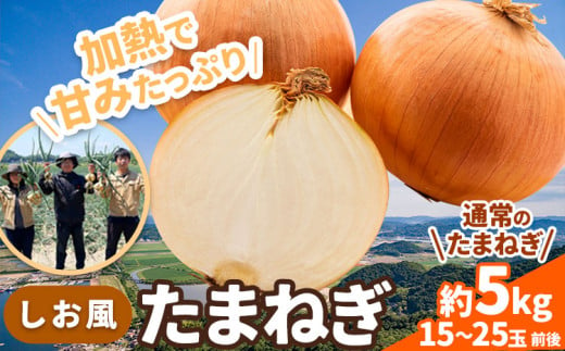 たまねぎ【2025年先行予約分】しお風たまねぎ 約5kg《2025年6月上旬-6月末頃出荷》 玉ねぎ たまねぎ 野菜 青果物 岡山県 笠岡市 玉ねぎ 5kg 5000円以下 5000円以内 10000円以下 10000円以内