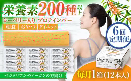 【6回定期便】シーベリープロテインバー 1箱 シーベリーとソイプロテインの低糖質バー 動物性不使用 保存料不使用 毎日の栄養バランス サジープロテインバー 豆 栄養食 朝食 岐阜市 / 宝島ジャパン [ANDF004] 986141 - 岐阜県岐阜市