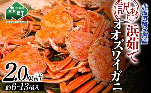 【12月発送】【訳あり】浜茹でオオズワイガニ 2.0kg 詰め込みセット 北海道噴火湾産 ＜道産ネットミツハシ＞ かに カニ 蟹 がに 北海道 森町 ふるさと納税 mr1-0736-5