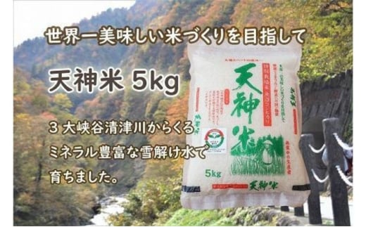 令和6年度 新潟魚沼産コシヒカリ 天神米 5kg×1袋 1915451 - 新潟県十日町市