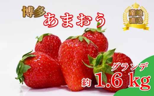 あまおう グランデ等級　約270ｇ×6パック（2月～4月に順次発送予定） 冷蔵 小分け いちご 福岡県産 苺 あまおうイチゴ フルーツ あまおう 果物 スイーツ くだもの 冬 春 旬 福岡 九州 福岡県 川崎町 数量限定 期間限定 1907176 - 福岡県川崎町