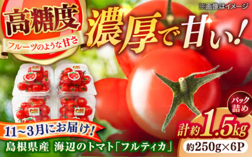 島根県産 海辺のトマトパック「フルティカ」250g×6パック(1.5kg)【11～3月限定】 島根県松江市/株式会社さんちゃんファーム [ALAX003]｜トマト とまと 野菜 やさい フルティカ お裾分け フルーツトマト