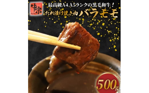 たれ漬け焼肉 バラ、モモ 計500g【1580004】