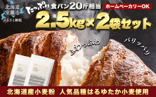 北海道産 はるゆたかブレンド小麦粉 シルバーライズ（パン用強力粉）5kg 【 ふるさと納税 人気 おすすめ ランキング 小麦 小麦粉 粉 シルバーライズ はるゆたか ブレンド パン用 強力粉 穀物 国産 北海道産 食パン パン こむぎ こむぎこ  ギフト 贈答 プレゼント 贈り物 北海道 室蘭市 送料無料 】 MROBI014