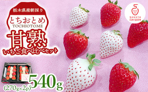 甘熟いちご食べくらべセットとちおとめ＆ミルキーベリー270g×2p ｜ とちおとめ いちご 苺 栃木県 果物 フルーツ ※北海道・沖縄・離島への配送不可 ※2025年1月上旬～4月中旬頃に順次発送予定