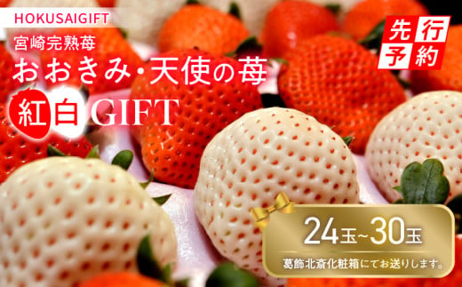 《2025年発送先行予約》【期間・数量限定】HOKUSAIGIFT宮崎完熟苺おおきみ・天使の苺紅白_M279-001 894312 - 宮崎県宮崎市