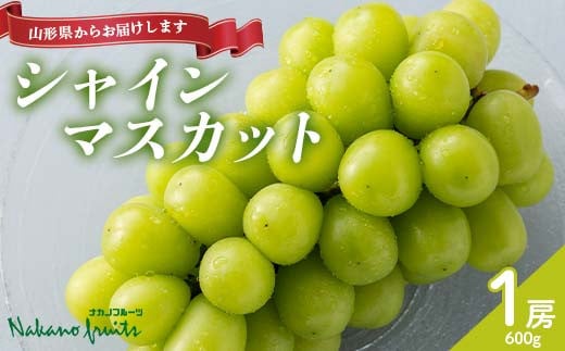 【仲野観光果樹園】≪2025年先行予約≫贈答用 山形県産 シャインマスカット 1房（600g） 秀品 2025年9月上旬から順次発送 F2Y-6118