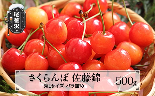 先行予約 2025年産 さくらんぼ 佐藤錦 秀Lサイズ 500g バラ詰め プレゼント ギフト 令和7年産 山形県産 ns-snslb500