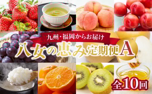 九州・福岡からお届け！八女の恵み定期便【全１０回】 A｜＜配送不可：北海道・沖縄・離島＞ 504379 - 福岡県八女市