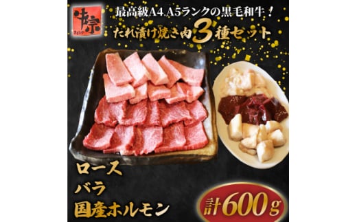 たれ漬け 焼き肉 セット 計600g【1580000】