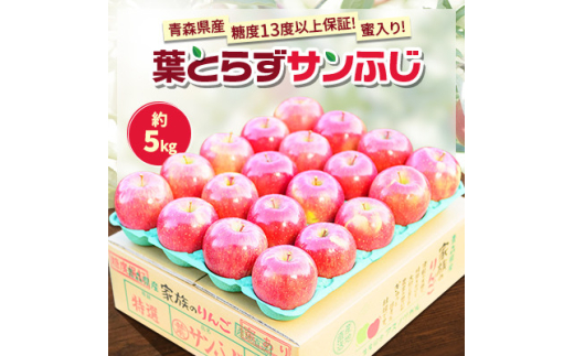 ＜青森市産＞糖度13度以上保証!蜜入り!葉とらずサンふじ約5kg【1435996】 1063694 - 青森県青森市