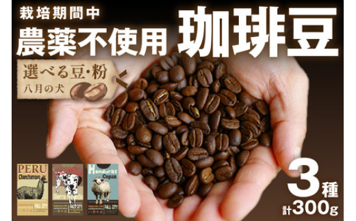 【栽培期間中農薬不使用】自家焙煎コーヒー豆　お試しセット（100gx3種）【豆の挽き方：極細挽き】八月の犬　珈琲豆　ドリップ　飲み比べ　コホペ　HA00016