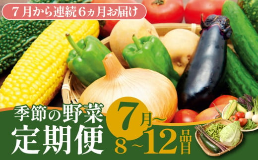 【7月開始】 野菜定期便 年6回 8～12種類 数量限定 野菜 定期便 セット 詰め合わせ 旬 おまかせ 野菜BOX 詰め合わせ 野菜定期便 ふるさと納税野菜 やさい ていばん セット 産地直送  せいだ 新潟 新発田 seida015