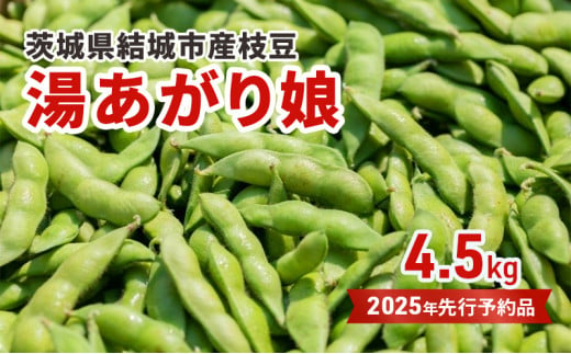 【先行予約 茨城県結城市産枝豆「湯あがり娘」4.5kg（茶豆味） [№5802-0959] 1172466 - 茨城県結城市