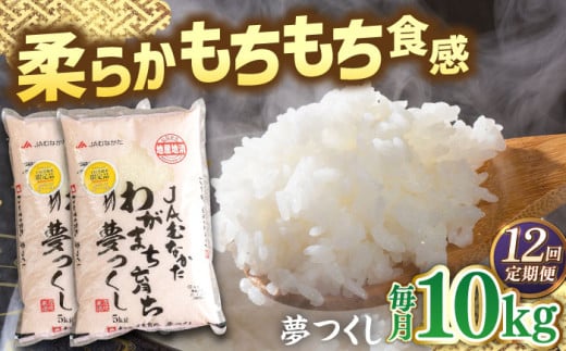 【全12回定期便】福岡産ブランド米・夢つくし5kg×2袋 桂川町/南国フルーツ株式会社 [ADBW041]