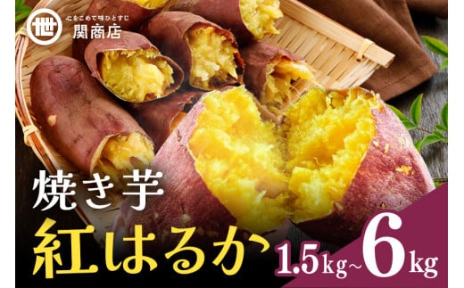 [期間限定] 関商店 焼き芋 紅はるか 1.5kg 国産 茨城県産 砂糖不使用 焼き芋 やきいも 焼芋 焼きいも べにはるか ベニハルカ 甘い 柔らかい 安心 安全 品質 食味 おやつ 62-G