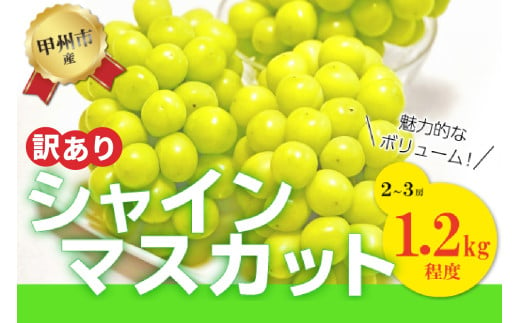 訳あり】魅惑のボリューム感『シャインのふるさと甲州』シャインマスカット2～3房（約1.2kg）【2025年発送】（SFK）B11-855 【 シャインマスカット 葡萄 ぶどう ブドウ 令和7年発送 期間限定 山梨県産 甲州市 フルーツ 果物】 - 山梨県甲州市｜ふるさとチョイス - ふるさと  ...