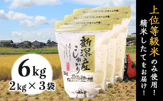 K61新潟県産コシヒカリ6kg（2kg×3