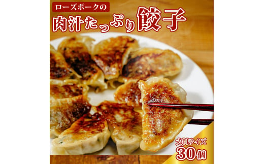 ローズポーク 肉汁 たっぷり 餃子 30個セット | ローズポーク 大きい 片岡肉店 手作り 大ぶり 美味しい ジューシー おかず お惣菜 おつまみ 肉屋 食肉専門 夕飯 小分け お弁当 国産 贈答品 ブランド肉 ギフト プレゼント 贈り物 お祝い 父の日 お中元 茨城県 常陸太田市