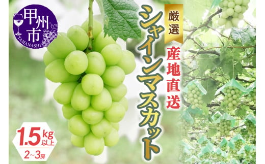 山梨県甲州市のふるさと納税 厳選！産地直送ぶどう「シャインマスカット」1.5kg以上（2～3房）【2025年発送】（KKH）B12-490 【シャインマスカット 葡萄 ぶどう ブドウ 令和7年発送 期間限定 山梨県産 甲州市 フルーツ 果物】