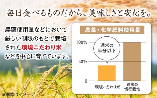 滋賀県産 環境こだわり米 みずかがみ 2㎏ ×2米 お米 白米  4kg