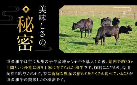 福岡県大川市のふるさと納税 厳選部位 博多和牛 サーロイン しゃぶしゃぶすき焼き用 300g  ( 300g×1パック ) | 牛肉 和牛 黒毛和牛 牛 スライス しゃぶしゃぶ すき焼き すきやき 焼きしゃぶ お鍋 鍋 10000円以下 1万円以下 お取り寄せ グルメ 福岡県 大川市