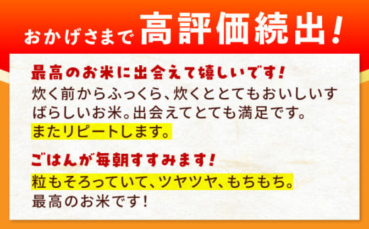 【特A評価】令和5年産 佐賀県武雄市橘産 さがびより 10kg さがびより 白米 米 お米 こめ 白米 精米 ブランド米